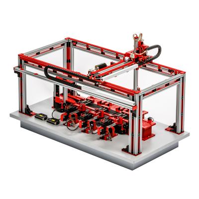 Línea de transporte y clasificación modelo Christiani Industry 