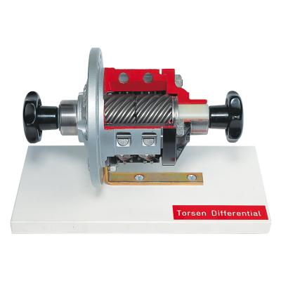 Torsen Differential Gear 