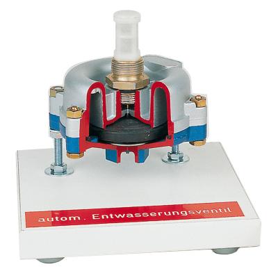 Automatic Water Drain Valve  